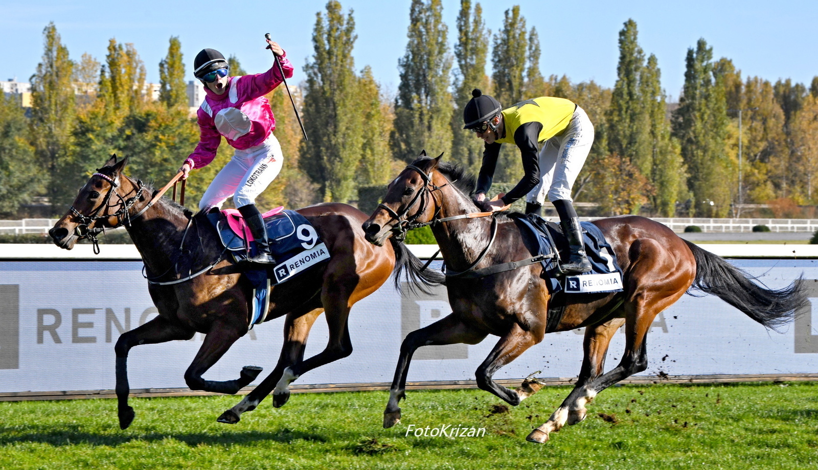 Šok jménem Lady in Pink