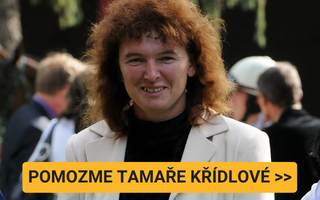NF_TAMARA.png